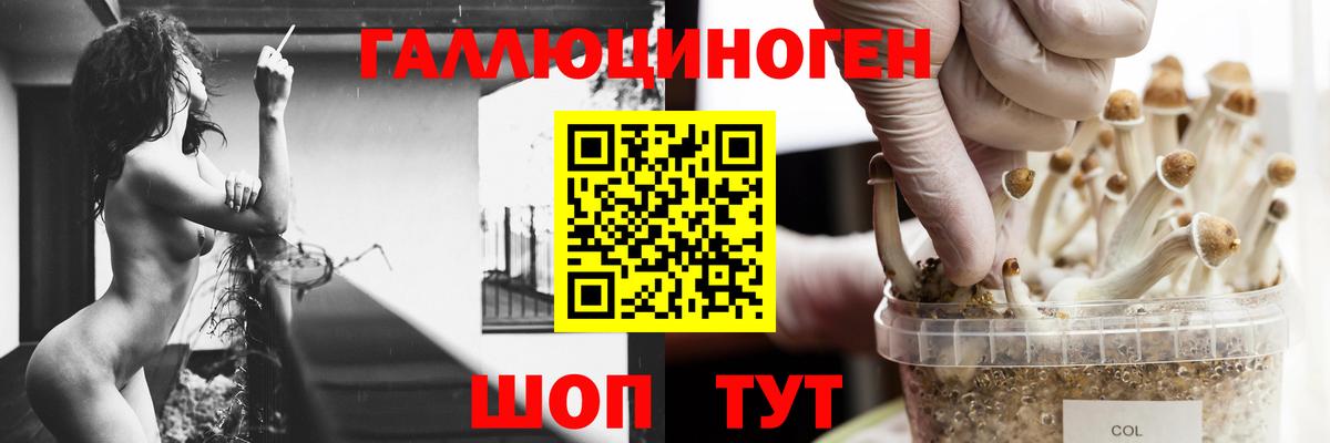 Артём  Галлюциногенные грибы Cubensis  хочу наркоту  Галлюциногенные грибы MAGIC MUSHROOMS  Вход с VPN 